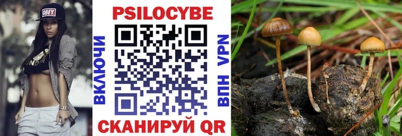 ОМГ ОМГ онион  что такое наркотик  Аркадак  Галлюциногенные грибы GOLDEN TEACHER 