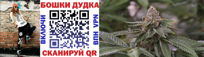 МАРИХУАНА OG Kush Аркадак